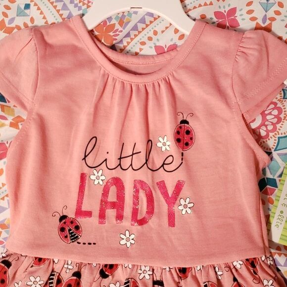 NWT peanut & ollie Toddler Dress Ladybugs/Daisies - Picture 2 of 4